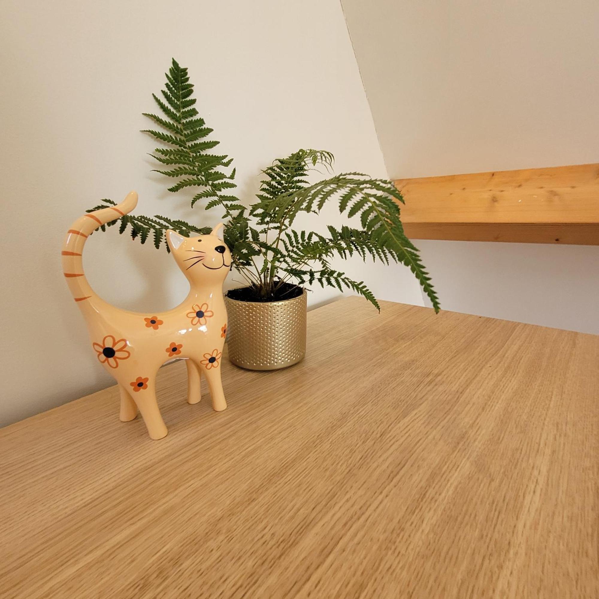 Ecolodges De Dreef Guesthouse Renesse Kültér fotó