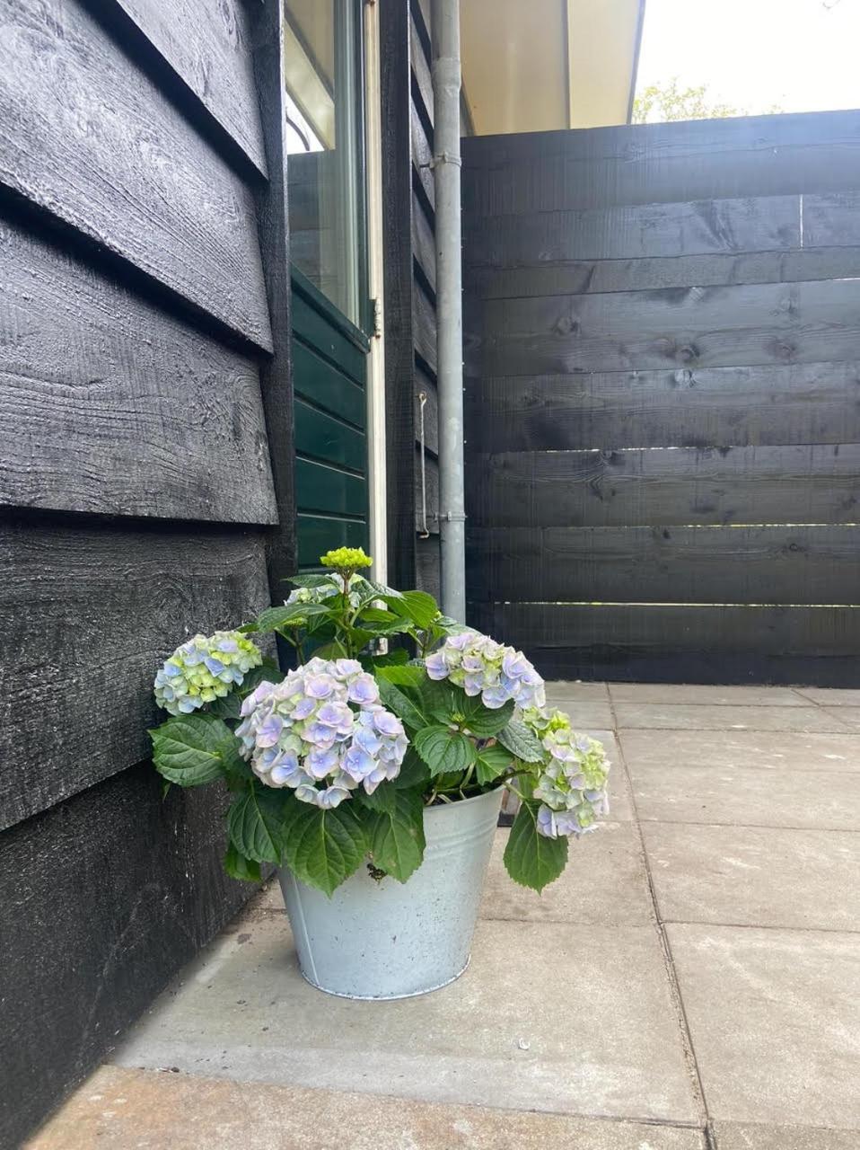 Ecolodges De Dreef Guesthouse Renesse Kültér fotó